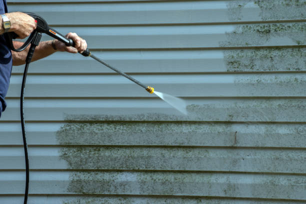 Best Commercial Building Pressure Washing  in Stephens City, VA