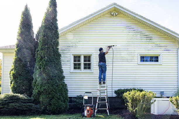 Best Residential Pressure Washing Services  in Stephens City, VA